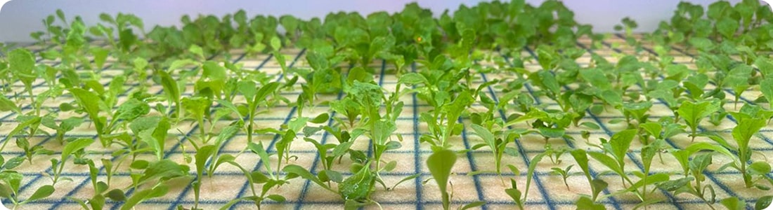 E-farm-img-3
